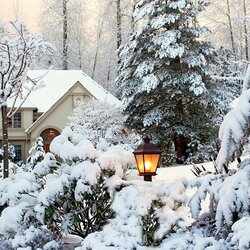 Пазл: Зимняя сказка