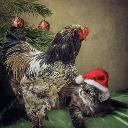 Пазл: Новый Год