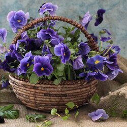 Пазл: Корзина с цветами