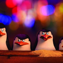 Пазл: Пингвины