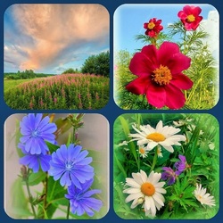 Пазл: Воспоминания о лете