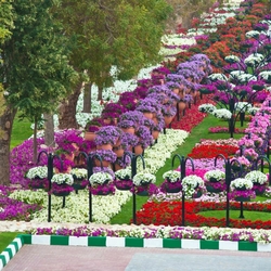 Пазл: Самый крупный в мире парк цветов 