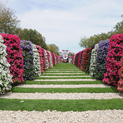 Пазл: Самый крупный в мире парк цветов 