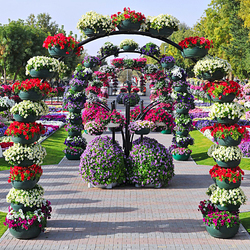 Пазл: Самый крупный в мире парк цветов 