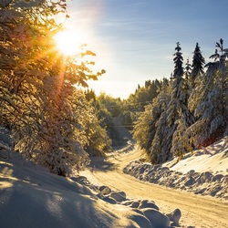 Пазл: Зимняя дорога