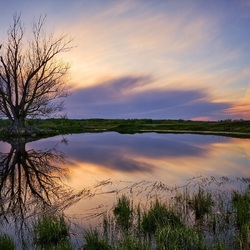 Пазл: Водоем у дороги