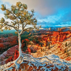 Пазл: Национальный парк Брайс-Каньон