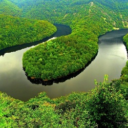 Пазл: Все в зеленом