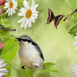 Пазл: Радости лета