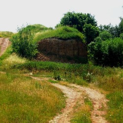 Пазл: Проселочная дорога