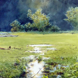 Пазл: Зеленый луг