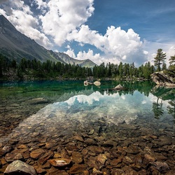 Пазл: Камни в прозрачной воде
