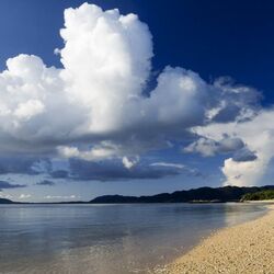 Пазл: Берег залива