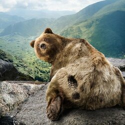 Пазл: Кто меня пнул?