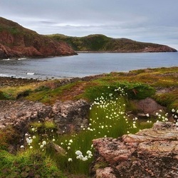 Пазл: Побережье Баренцево моря