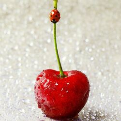 Пазл: Принцесса