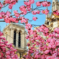 Пазл: Париж весной