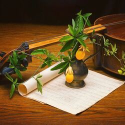 Пазл: Мелодия