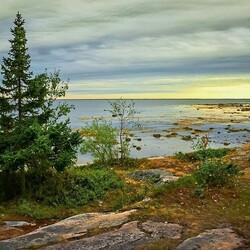Пазл: Побережье Белого моря