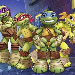 Пазл: Черепашки ниндзя