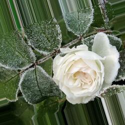 Пазл: Дыхание холода