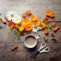 Пазл: Цветочная композиция