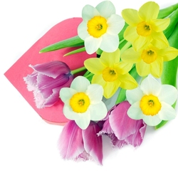 Пазл: Весенний букет