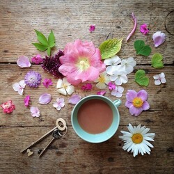 Пазл: Цветочная композиция 