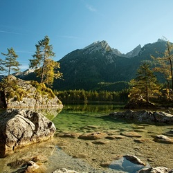 Пазл: Деревья  на камнях