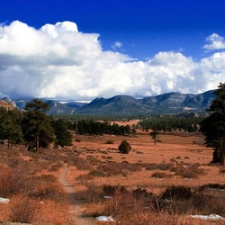 Пазл: Дорожка через лес