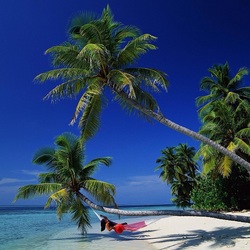 Пазл: Отдых под пальмами