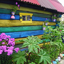 Пазл: Разноцветный домик