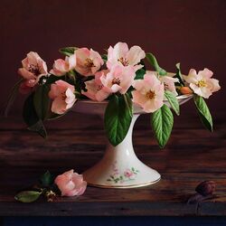 Пазл: Нежность