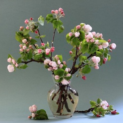 Пазл: Яблоня