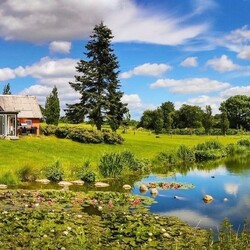 Пазл: Дачное местечко