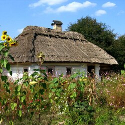 Пазл: Украинская хата