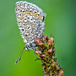 Пазл: Чудеса природы