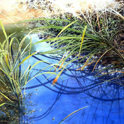 Пазл: Ручей