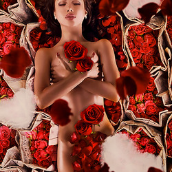 Пазл: Аромат розы