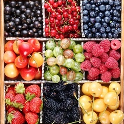 Пазл: Ячейки с ягодами