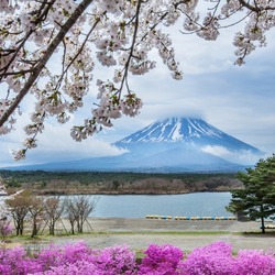 Пазл: Фудзи