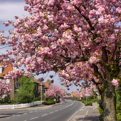Пазл: Весна в городе