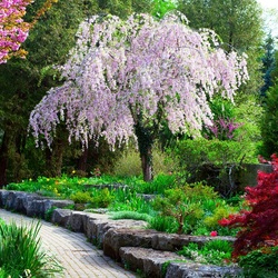 Пазл: Весенний парк