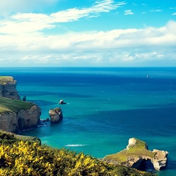 Пазл: Море с берега