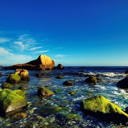 Пазл: Берег моря