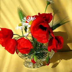 Пазл: Маки и ромашки