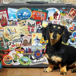 Пазл: Вокруг света