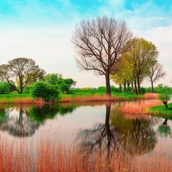 Пазл: Нежность природы
