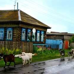 Пазл: Русская деревня