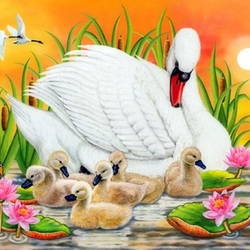 Пазл: Лебединая семья